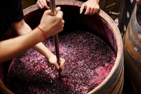 Gọi tên 5 nước sản xuất rượu vang ngon nhất thế giới