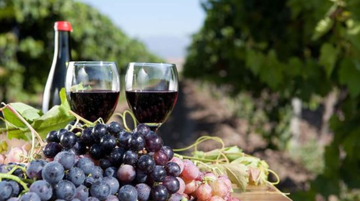  5 quốc gia sản xuất rượu vang ngon nhất thế giới