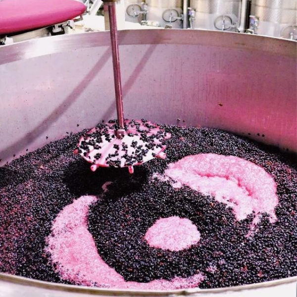 Khám phá quy trình sản xuất rượu vang đỏ Ý chuẩn vị đẳng cấp